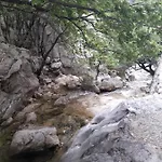 Fera