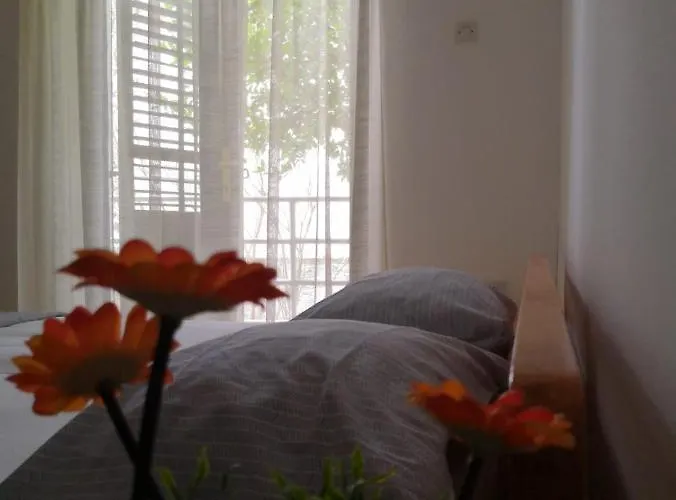 Apartment Fera