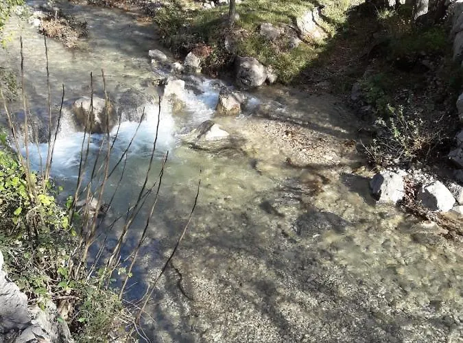 Fera 公寓 塞利讷